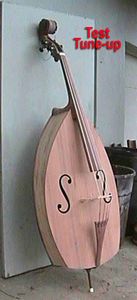 Build a Bass Fiddle : 4 Steps (with Pictures) - Instructables