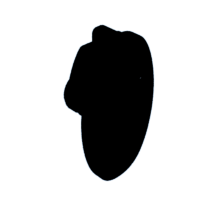 download {{ file.name }}