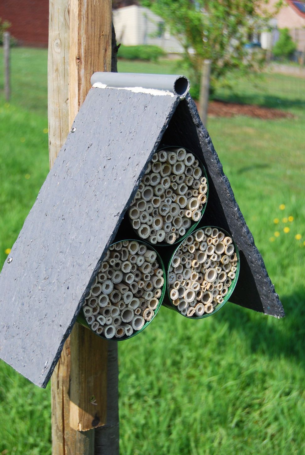 Mason Bee Hotel