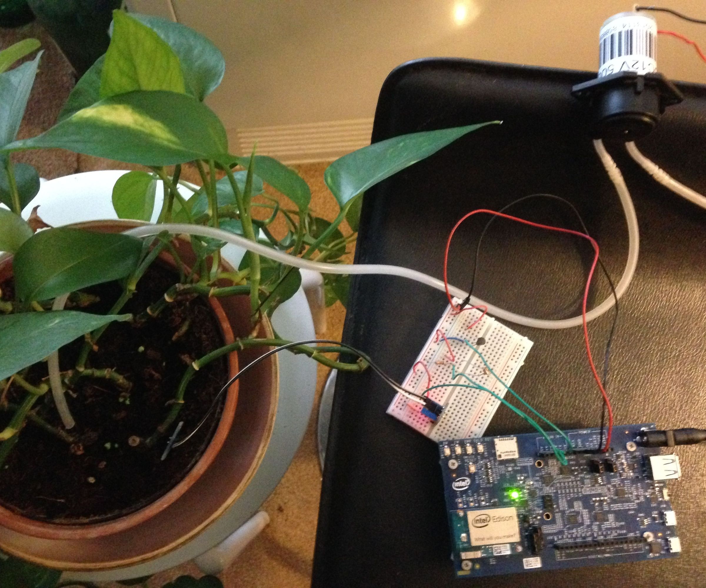 Plant Monitoring and Care - Using the Intel Edison