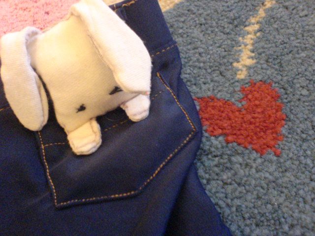 Pocket Plushie