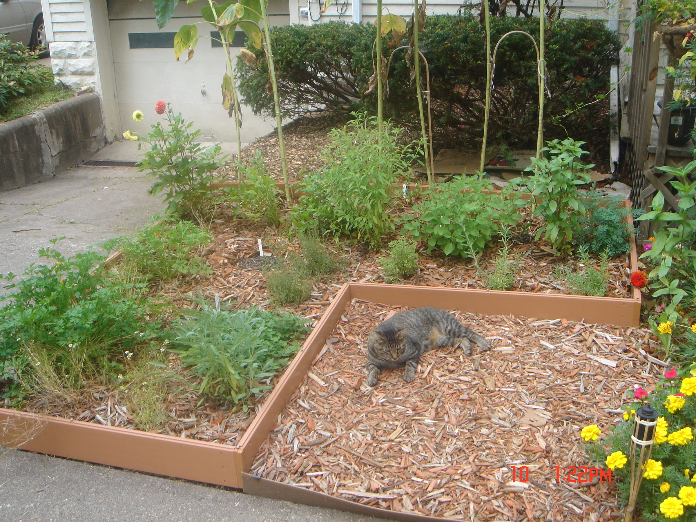 Simple Sheet Mulch Herb Garden