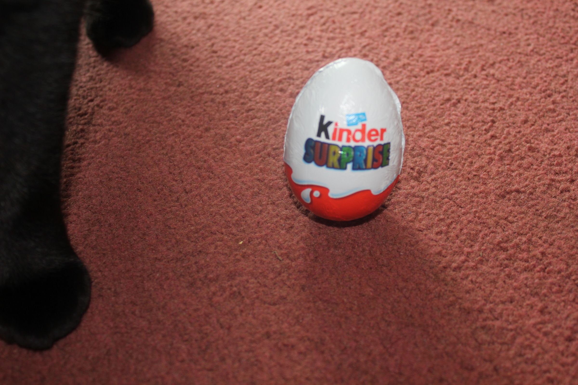 Make an Easter Egg Kitty Treat Dispenser.