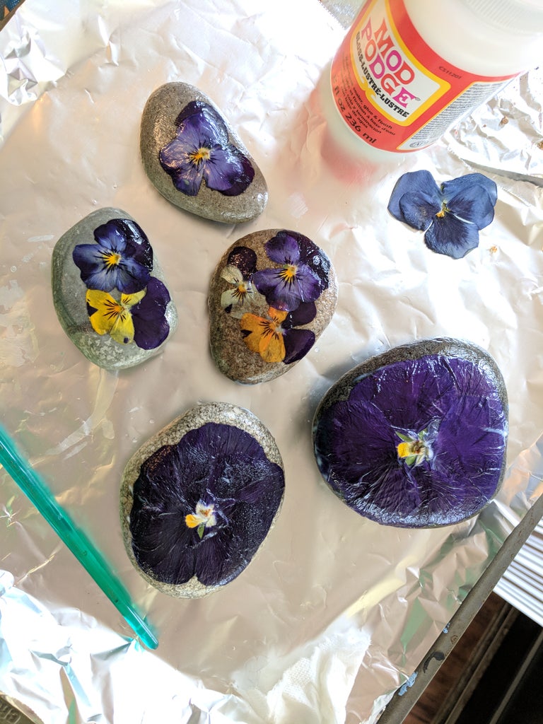 Pressed Flower Rocks 8 Steps with Pictures Instructables pressed-flower-rocks-8-steps-with-pictures-instructables