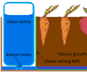 The simplest self watering container garden for vegetables or even trees