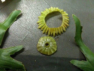 Flower Fun