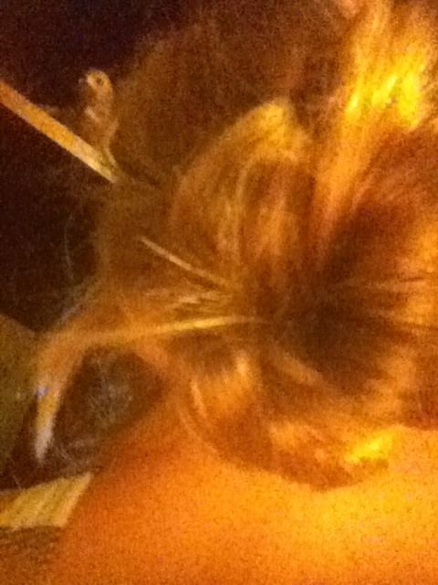 Braid Bun Twist