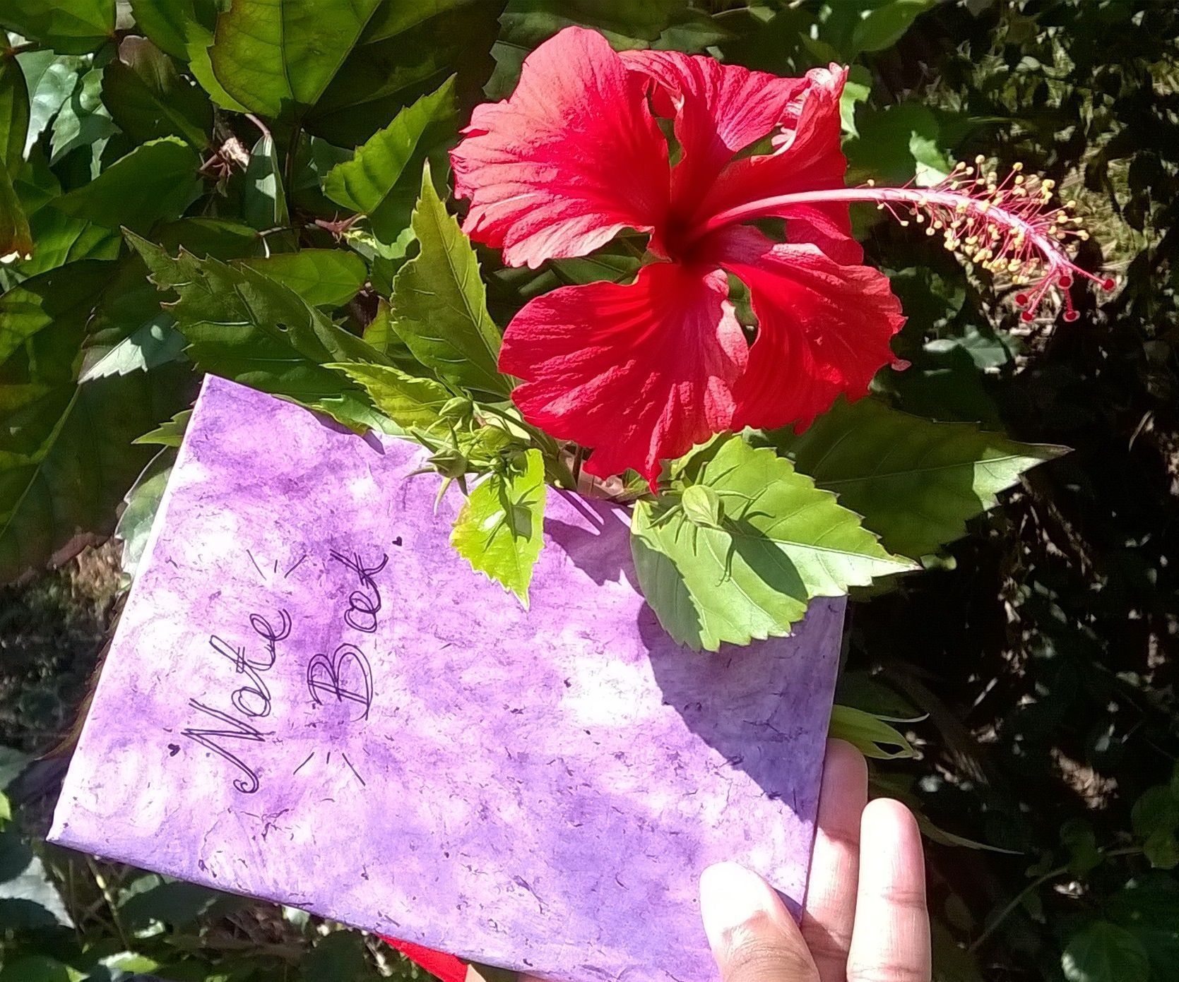 Natural Textured Book Covers- With Shoe Flowers