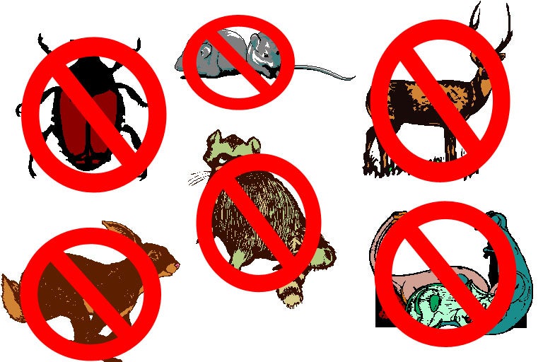 How to Get Rid of Unwanted Animals Updated 12 Steps Instructables