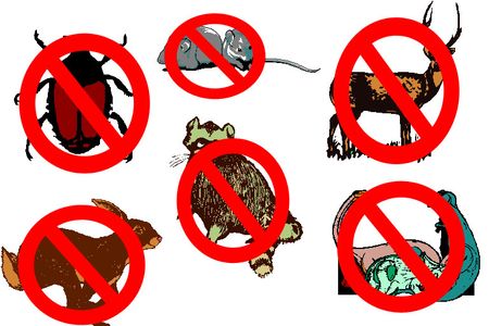 How to Get Rid of Unwanted Animals - Updated