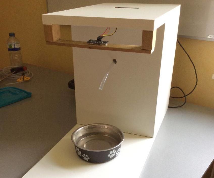 Automatic Water Dispenser for Pets (Raspberry Pi) 7 Steps (with Pictures) Instructables