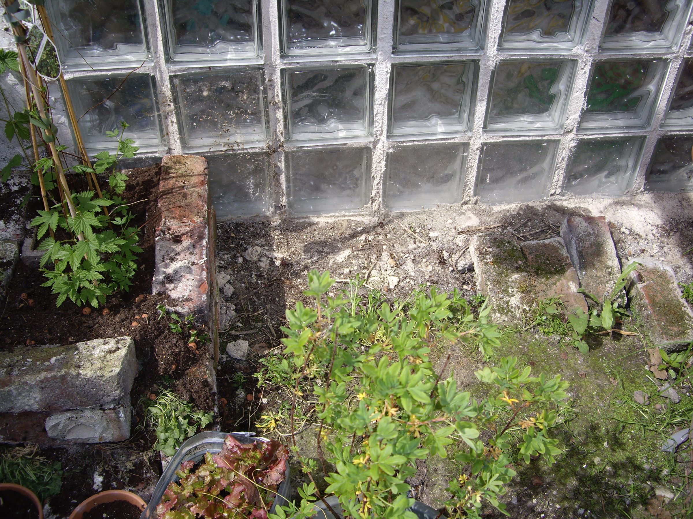 A House for the Toads