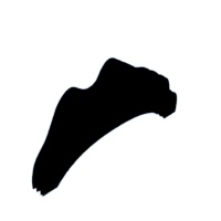 download {{ file.name }}