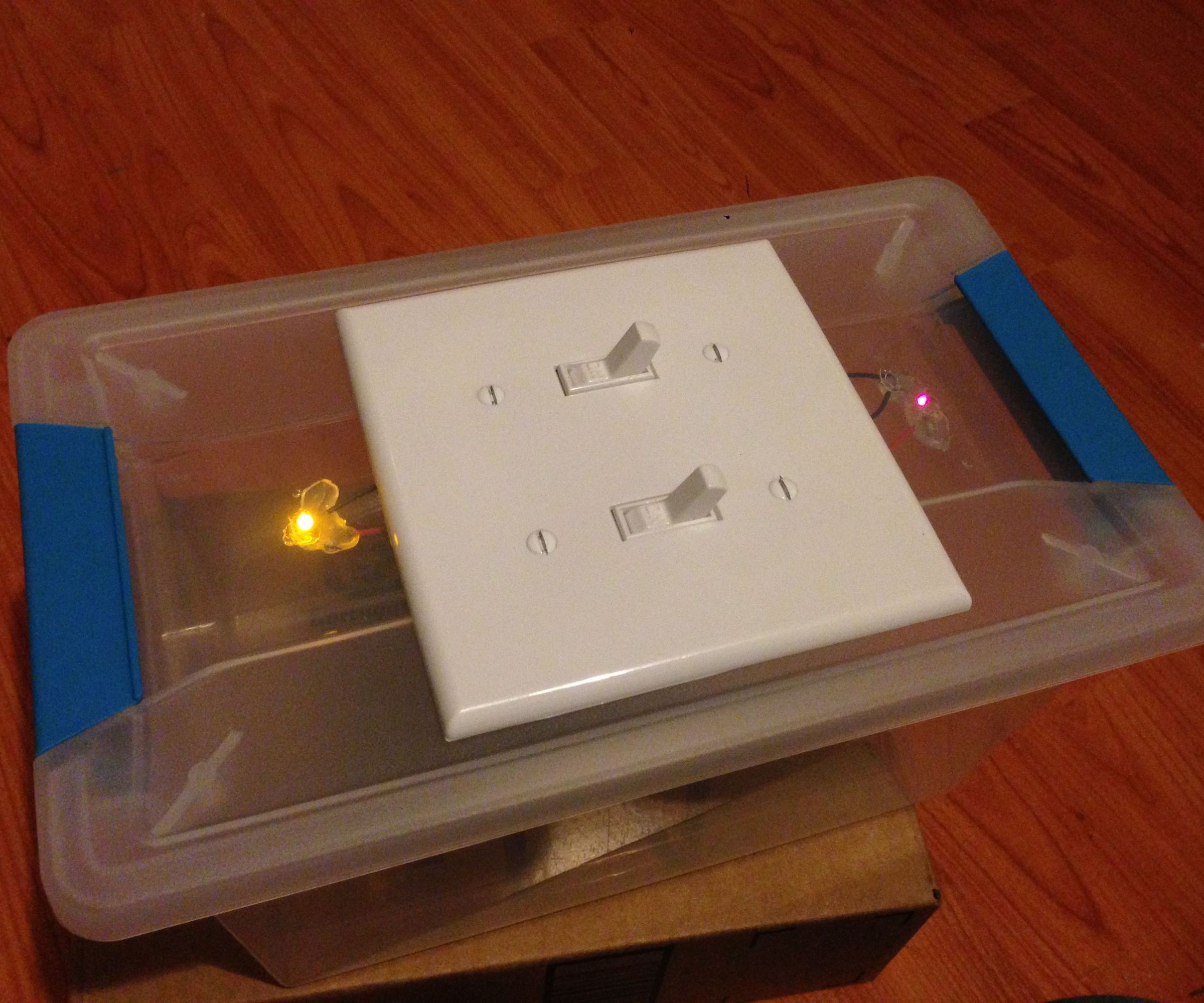 Light Switch-Loving Kid Toy