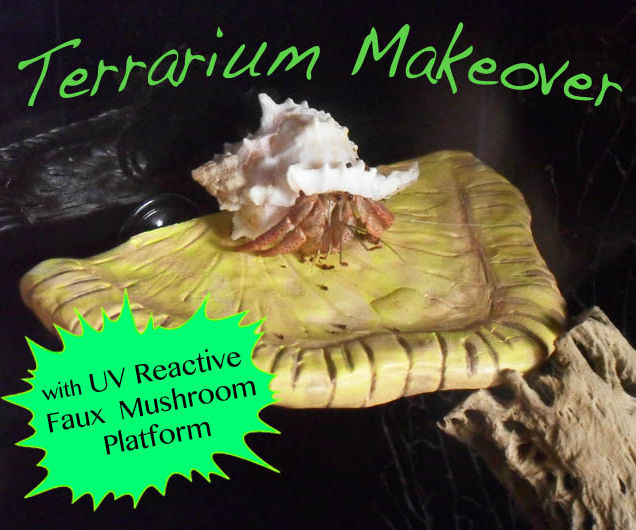 UV Faux Mushroom Platforms for Terrarium