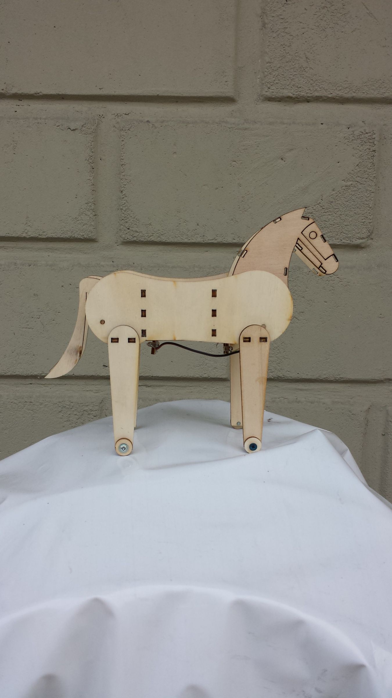 CAVALLINO LASER