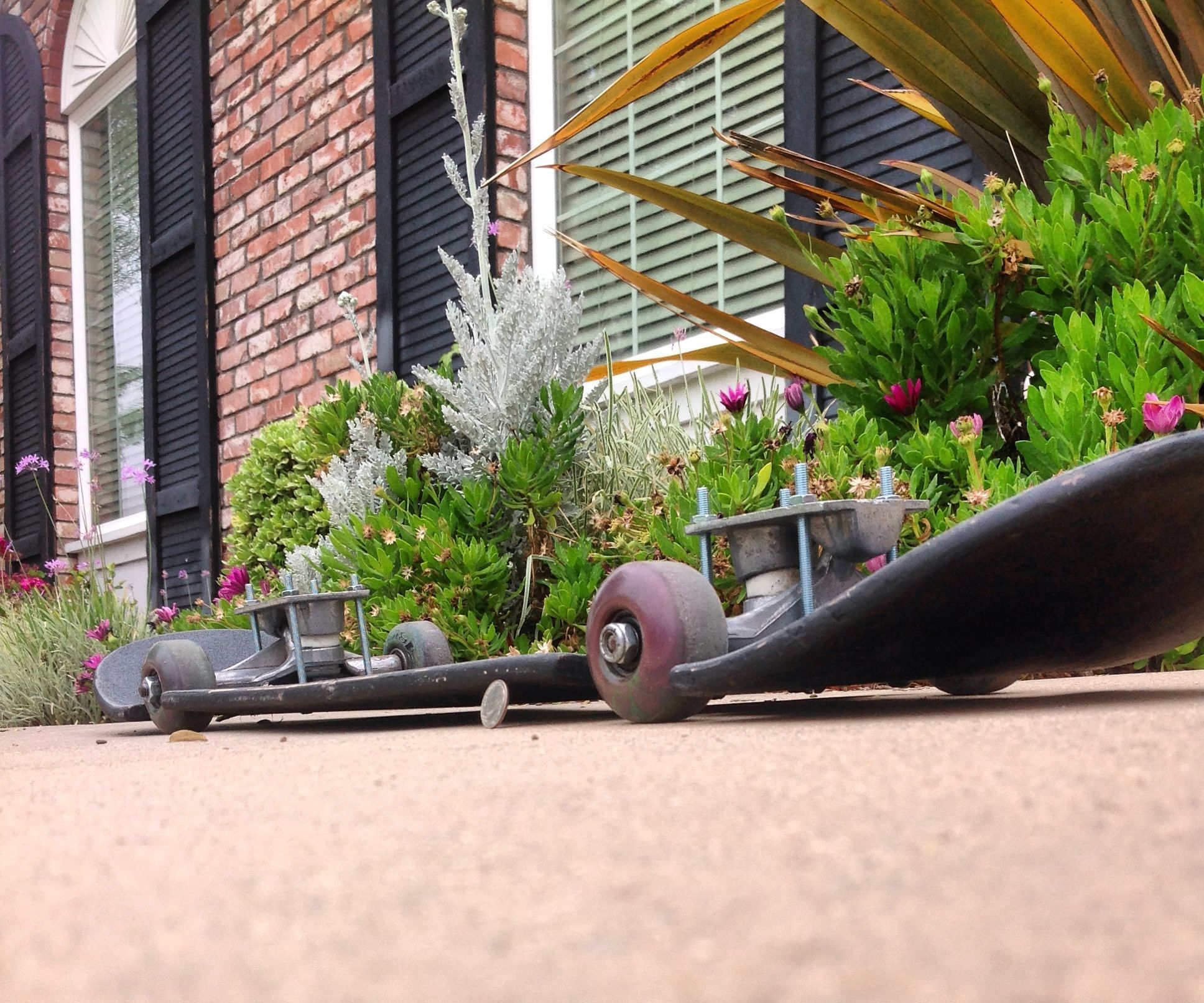 Hellaflush Skateboard