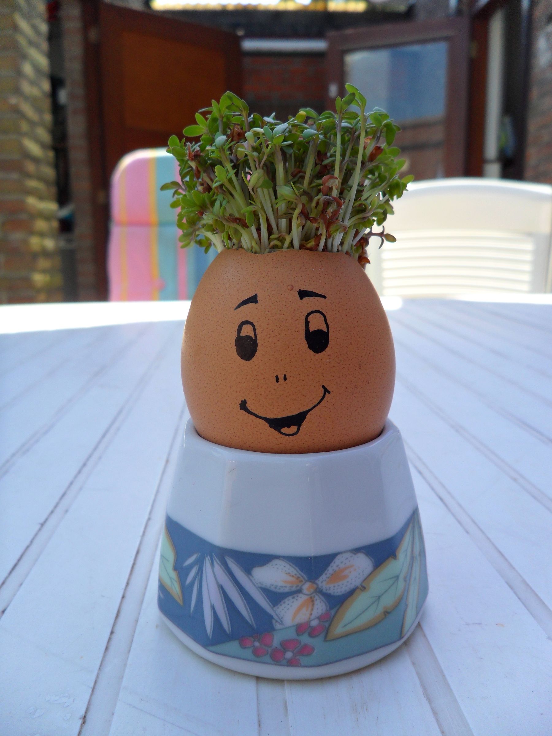 Kids Project: Mister Sprout