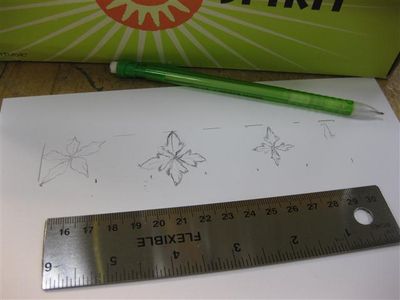 Ideas and Drawing of Pattern