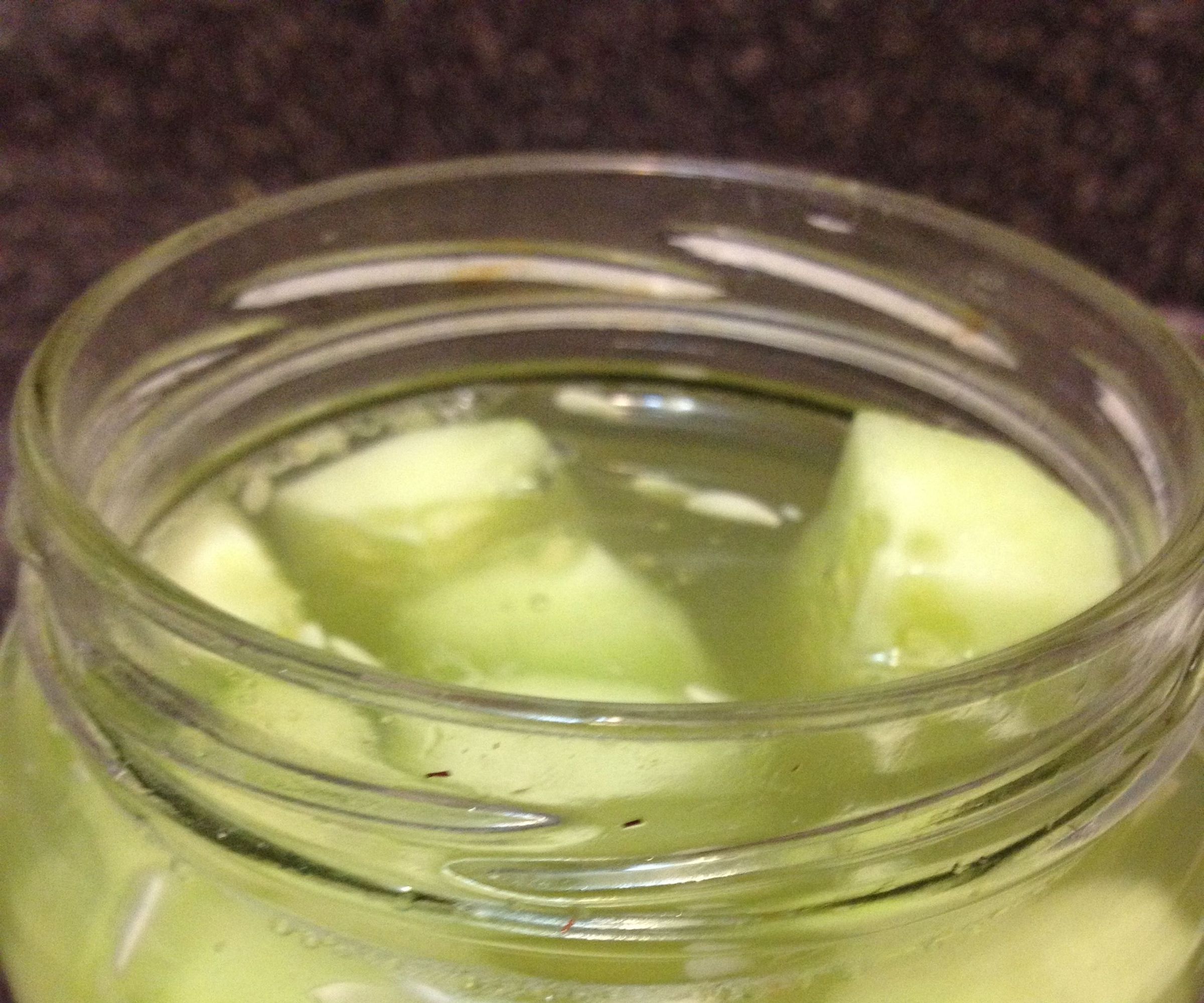 Pickle Recycler:  Your Favorite Flavor of Pickles...forever!