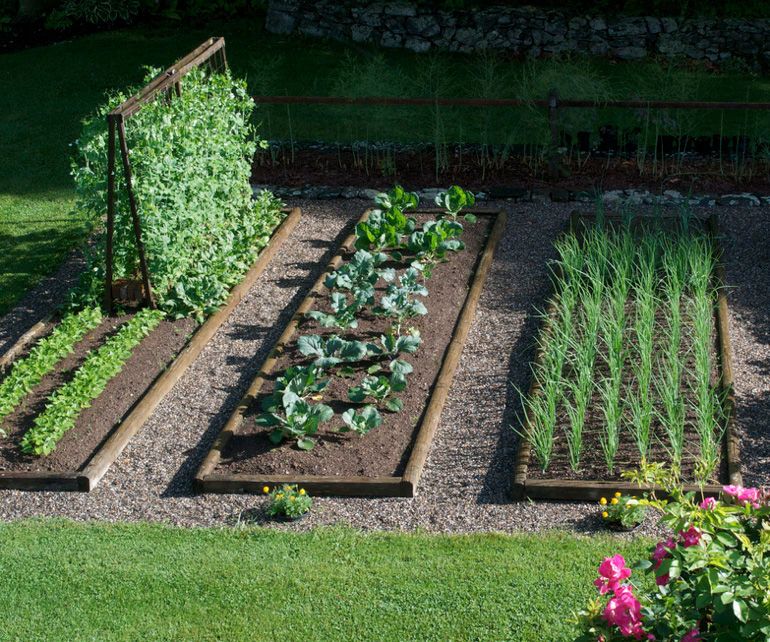 A Planting Hand
