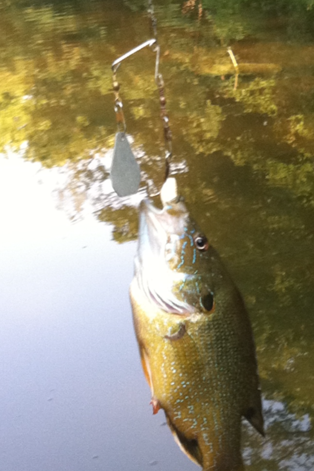Fishing with a safety pin