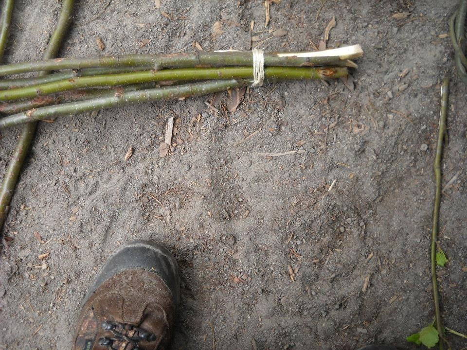 Primitive Funnel Basket Fish Trap