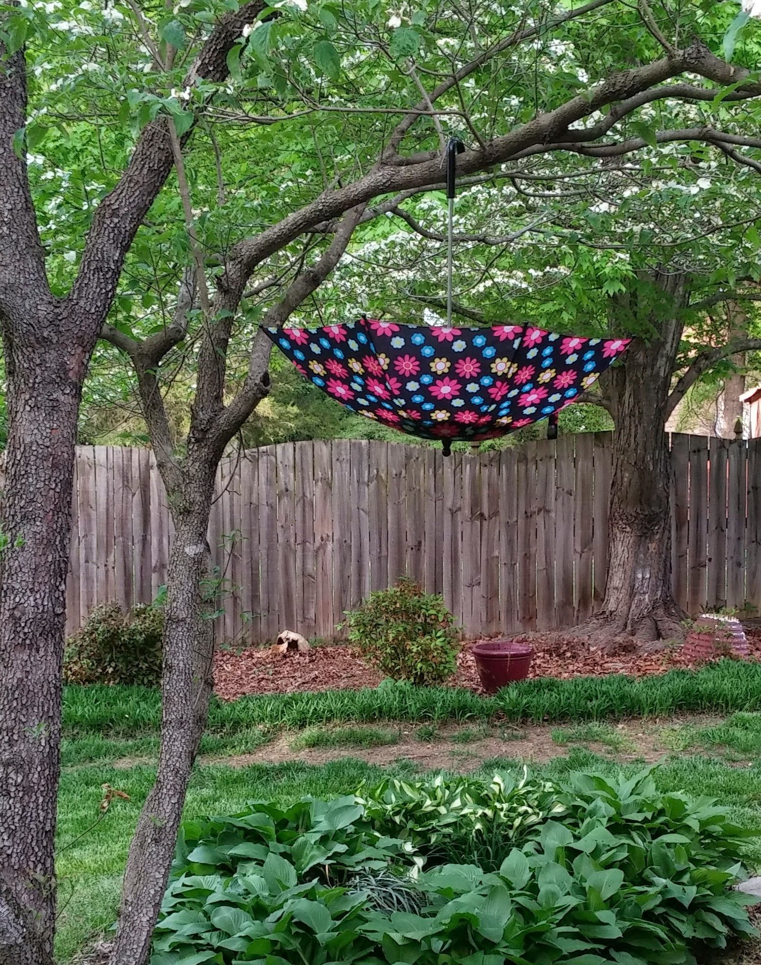 Umbrella Bird Feeder 3 Steps Instructables