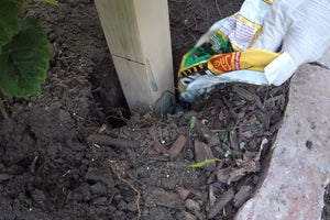 Gönderilerinizi Ayarlayın