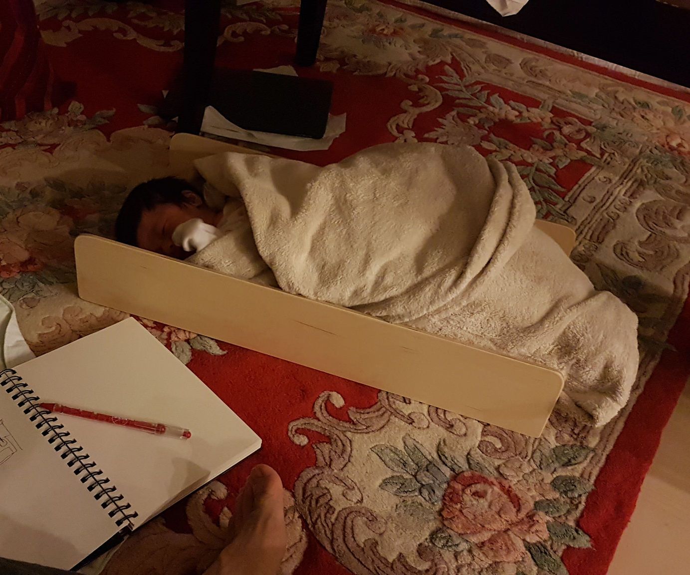 Baby Bed in Bed