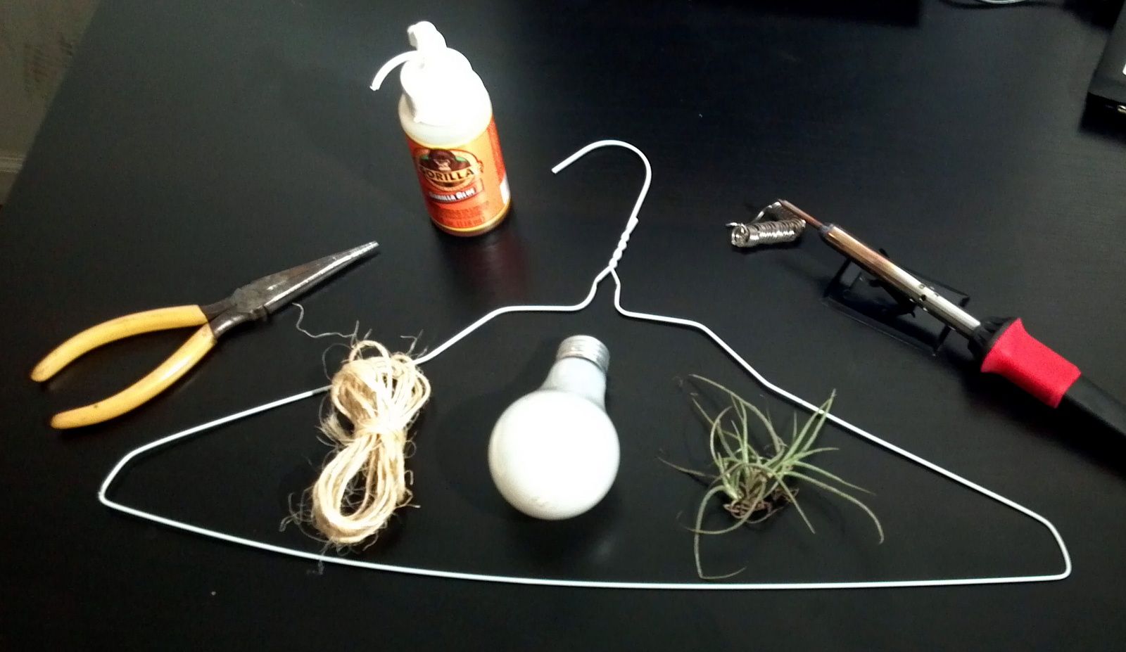 Air Plant Christmas Tree Holiday Ornament