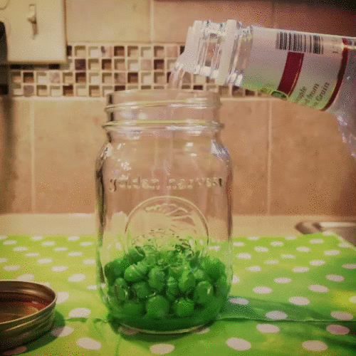 How to Make Skittle Infused Vodka