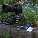 How to shoot timelapse-video with the Intel Galileo Gen 2