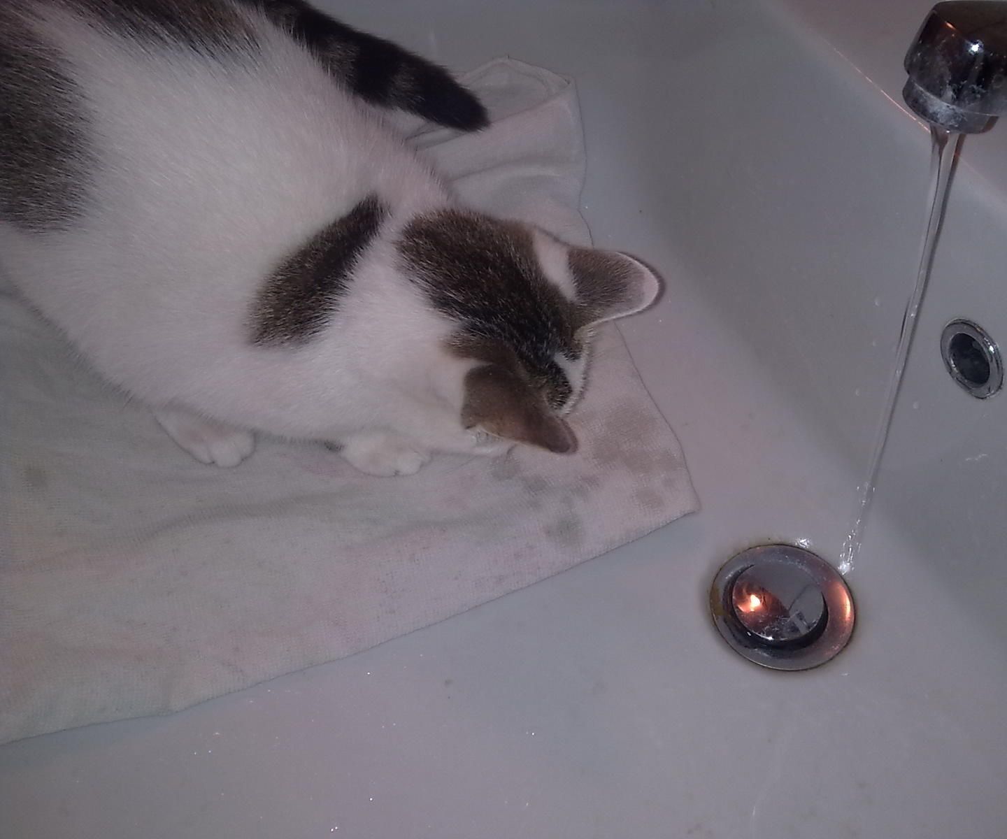 Learning Unit - Water