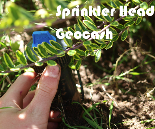 Sprinkler Head Geocache