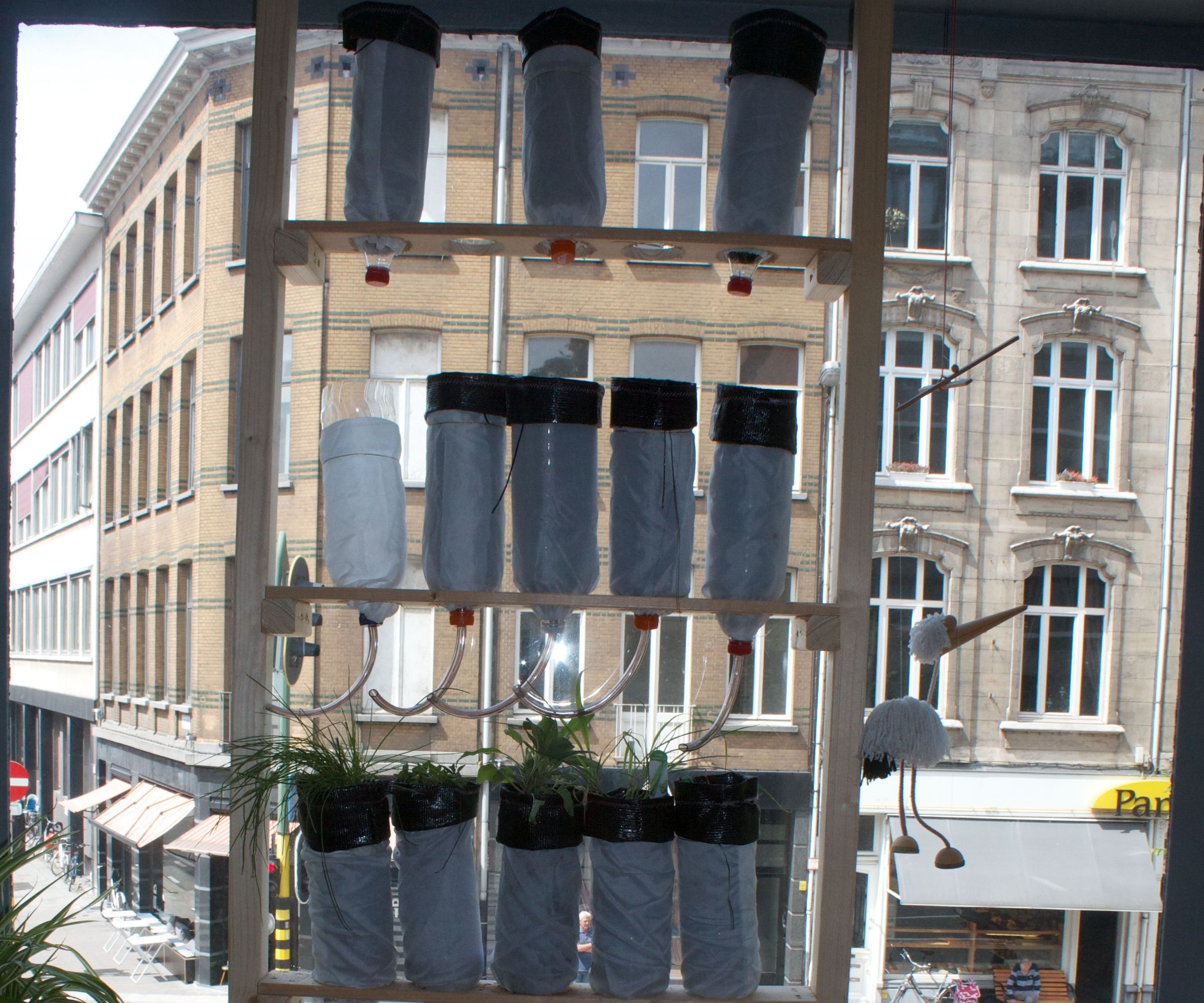 Indoor Vertical Garden With Recycled Bottles