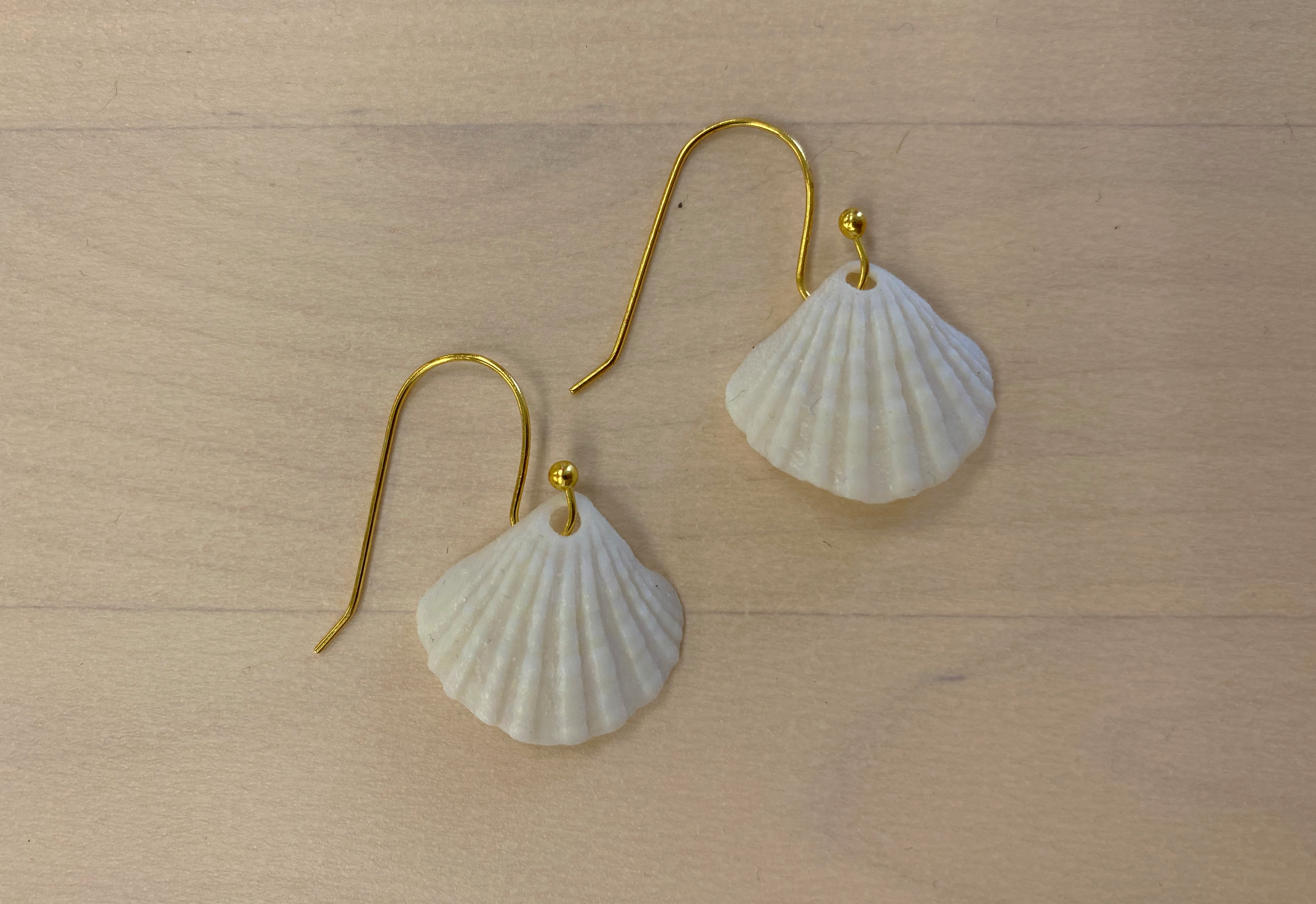 Scallop Earrings