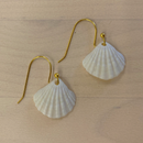 Scallop Earrings