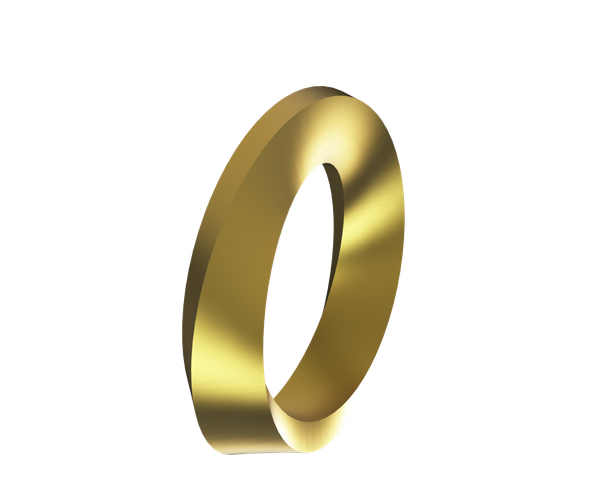 Casting a Mobius Ring With 3D Printed Mould