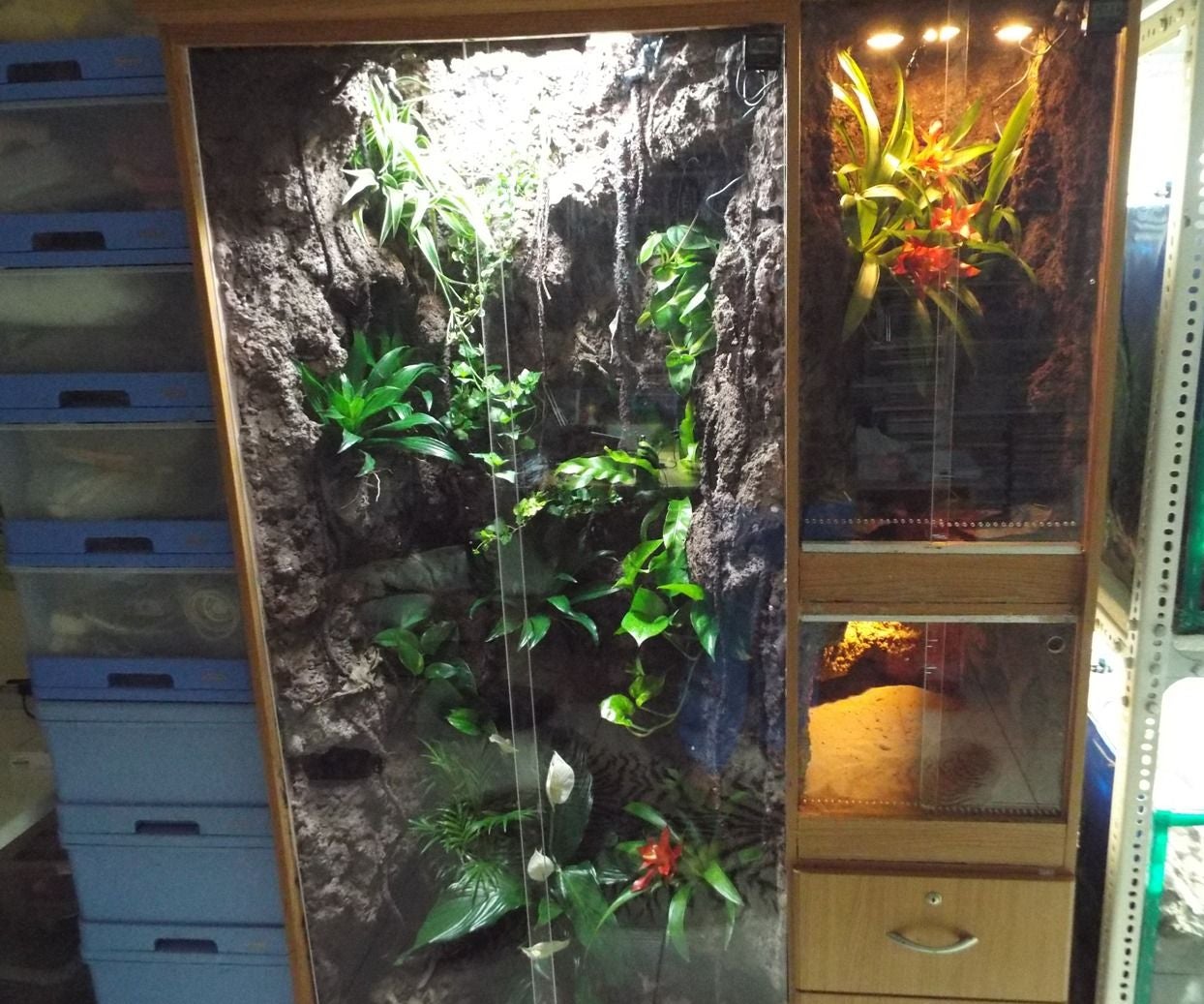 Converting Clothes Into a Multiple Vivarium Enclosure 23