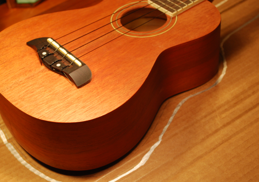 Quilted Uke Case