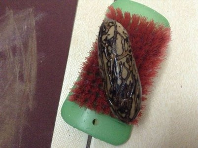 Step 3 :  Clean It