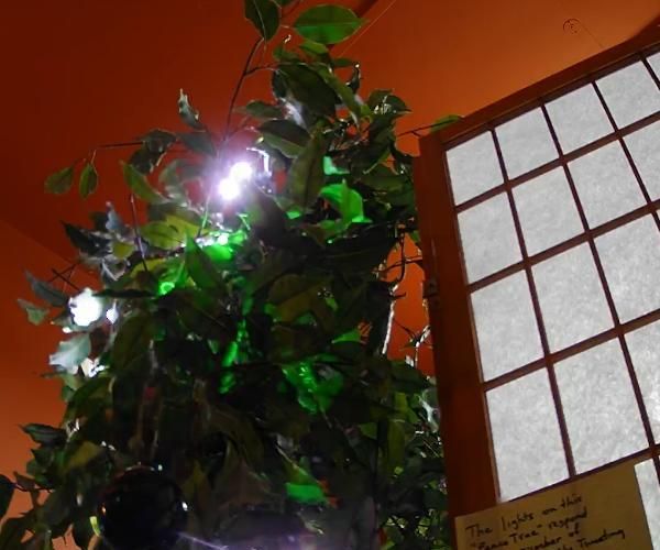 Peace Tree - an Internet-responsive String of Lights
