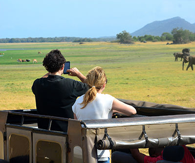 How to Plan a Safari to Sri Lanka