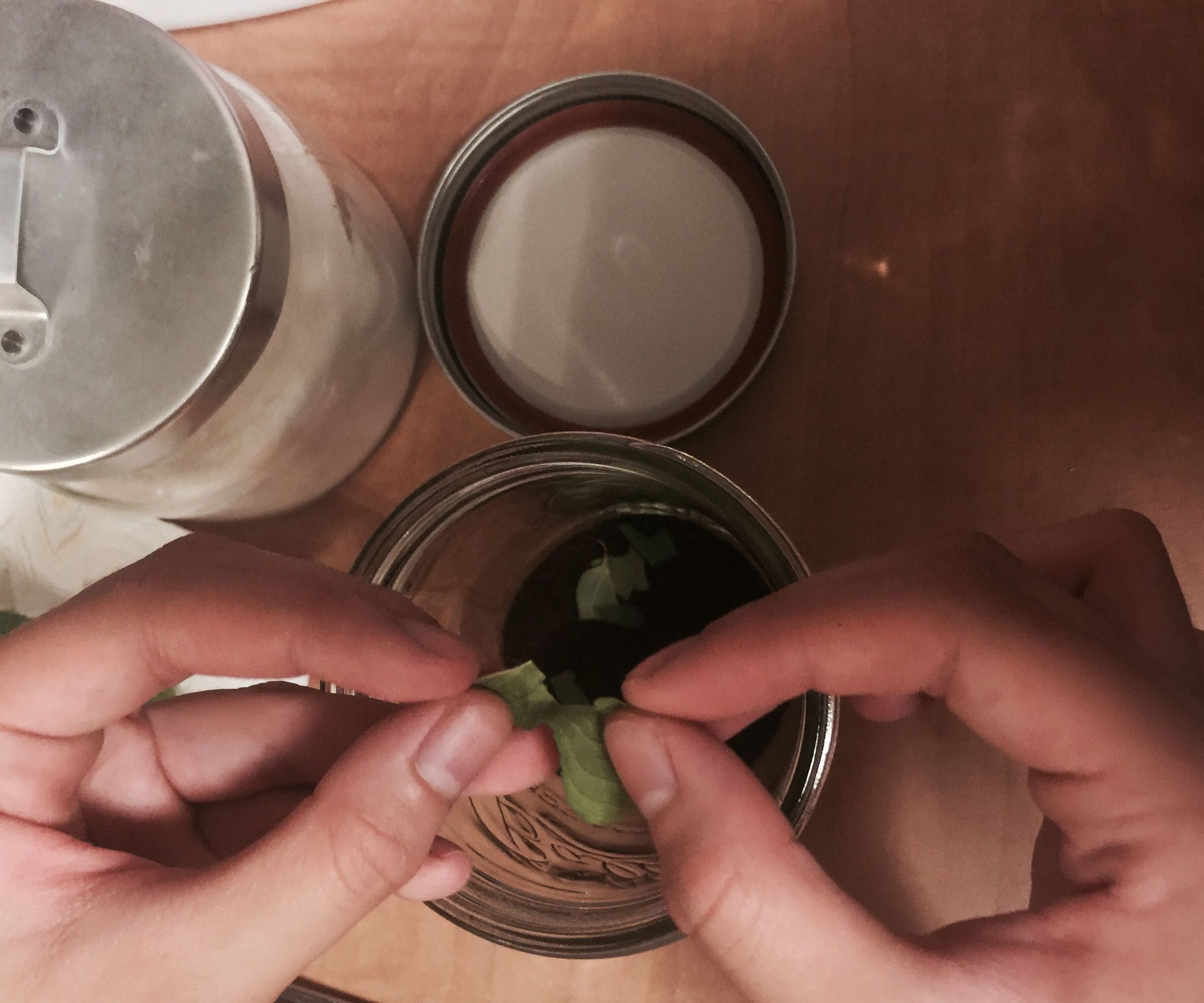 Minty Cold Brew Coffee