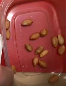 Shell Peanuts