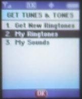 Now the Fun Part....