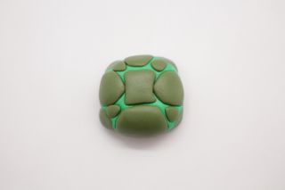 Empty Turtle Shell Clay