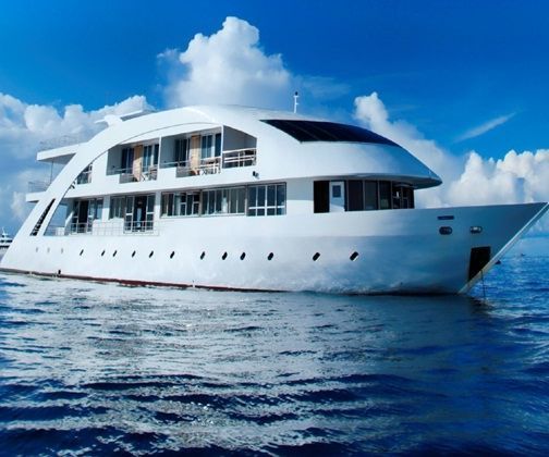 How to Plan a Diving Safari to the Maldives