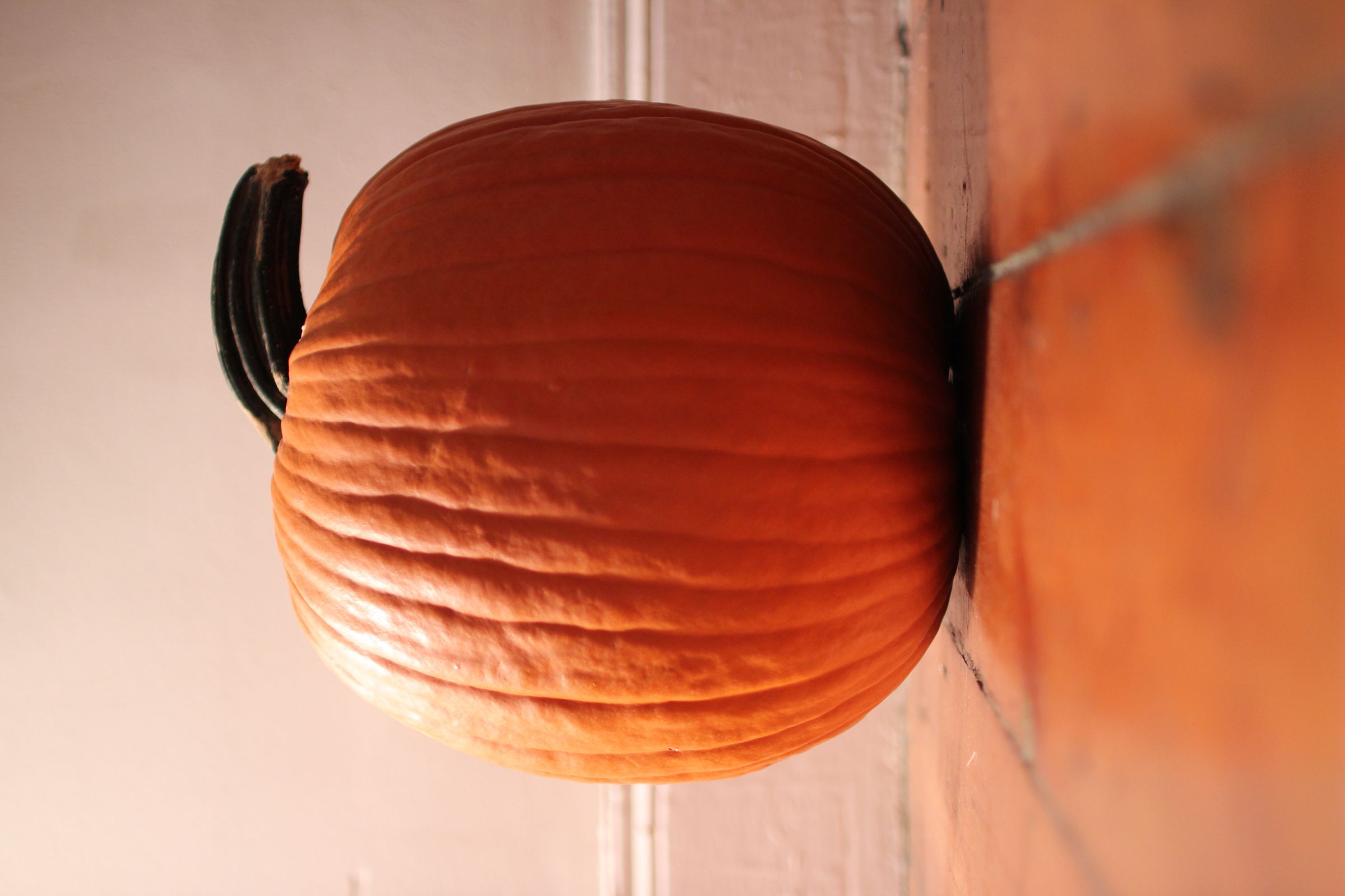 Intro to Advanced Pumpkin Carving : 10 Steps - Instructables